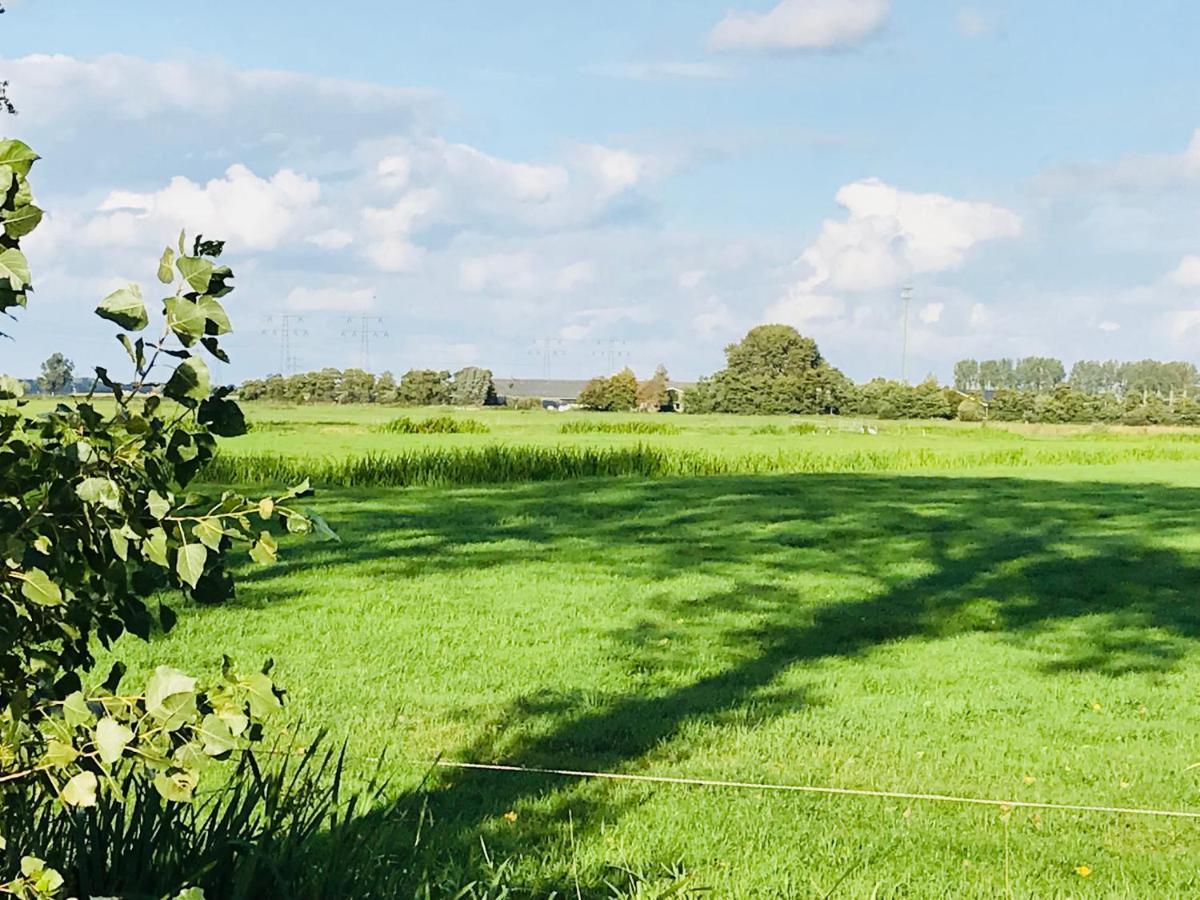 Altenburgpleats Hempens Bagian luar foto